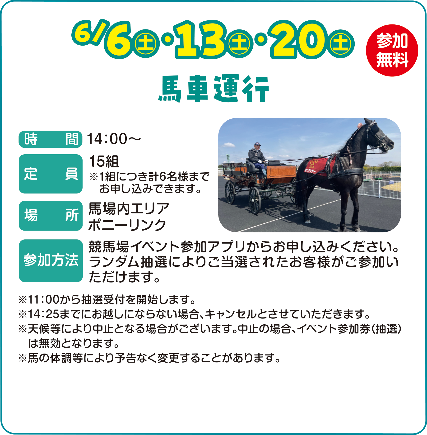 初夏の中山競馬場でハッスル！NAKAYAMA Hustle PARK