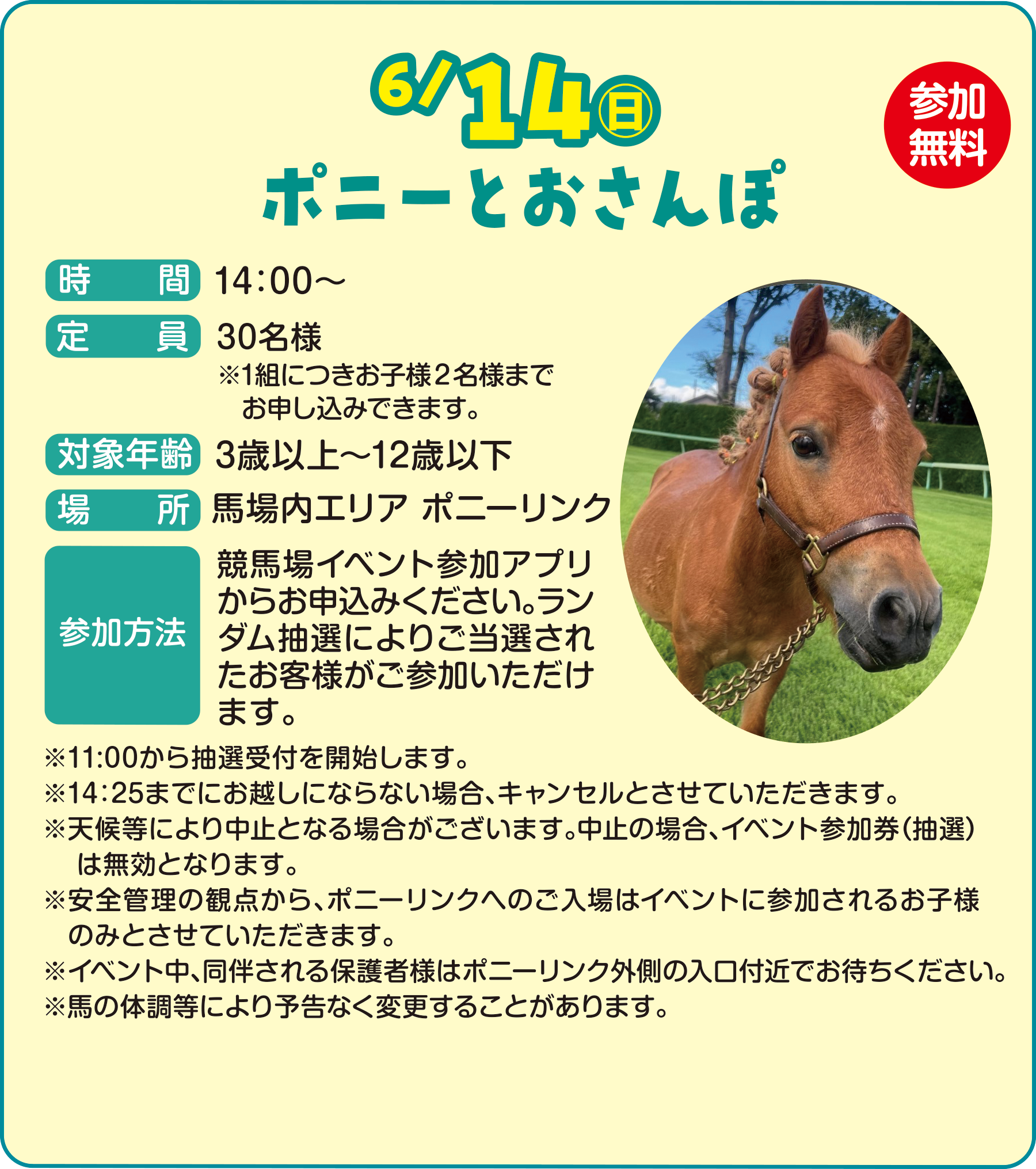 初夏の中山競馬場でハッスル！NAKAYAMA Hustle PARK